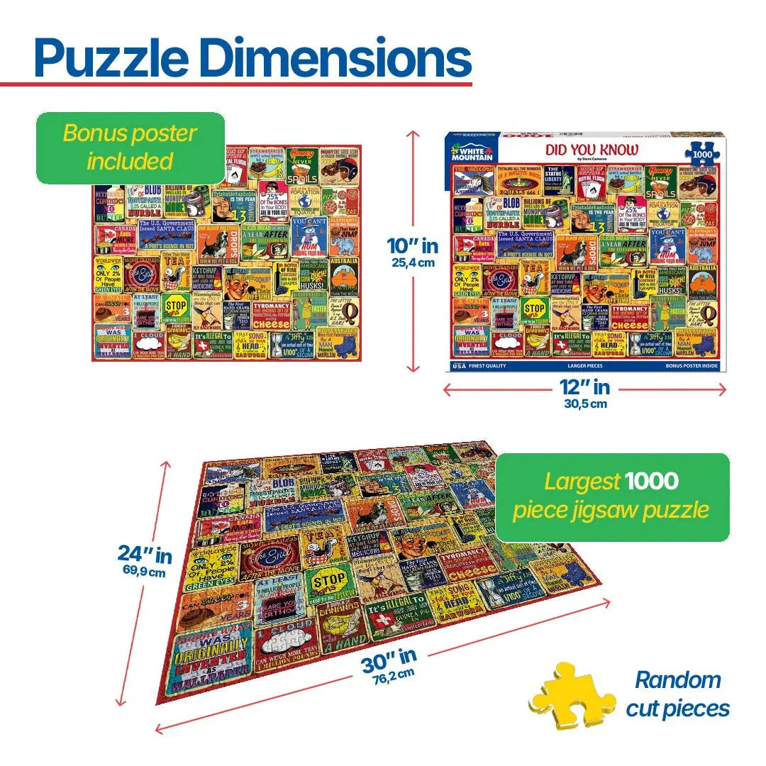 Did You Know (1968pz) - 1000 Piece Jigsaw Puzzle